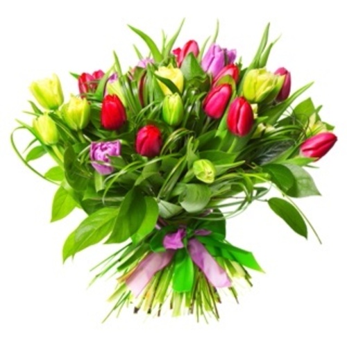 Luxury Tulip Hand Tied Bouquet 