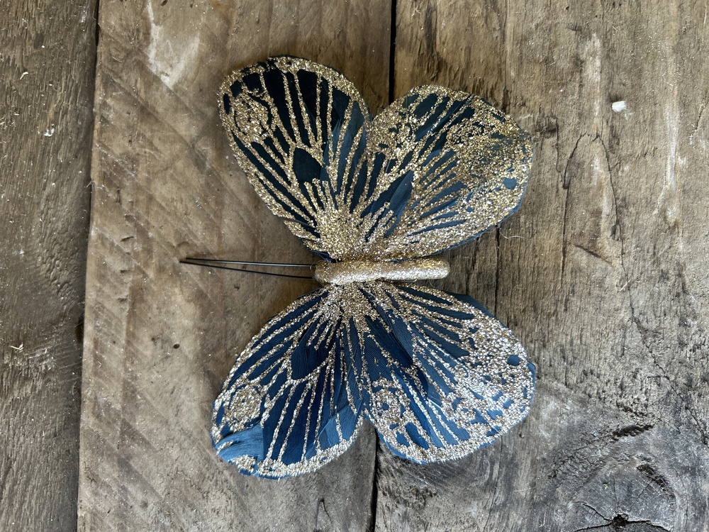 Blue Butterfly 
