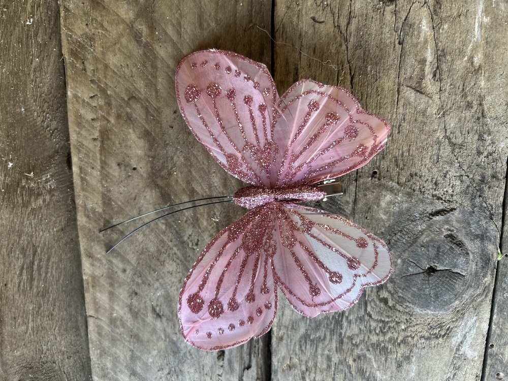 Pink Butterfly 