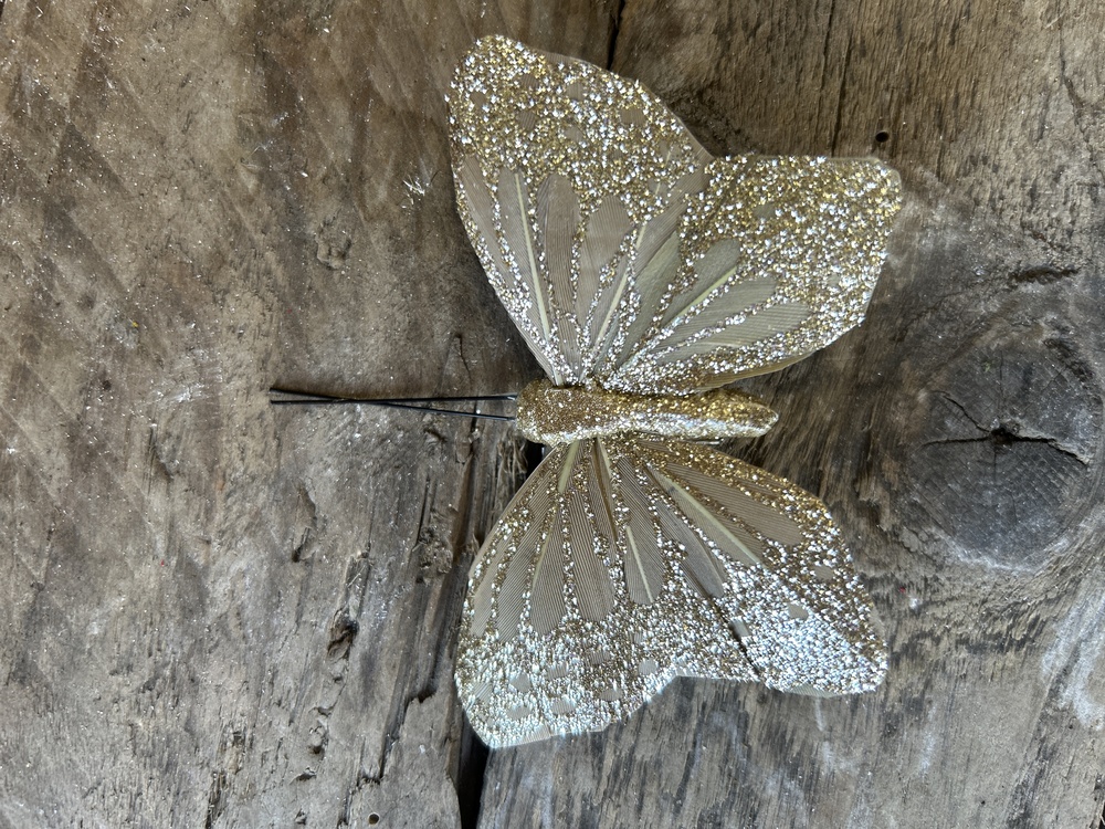 Gold Butterfly 