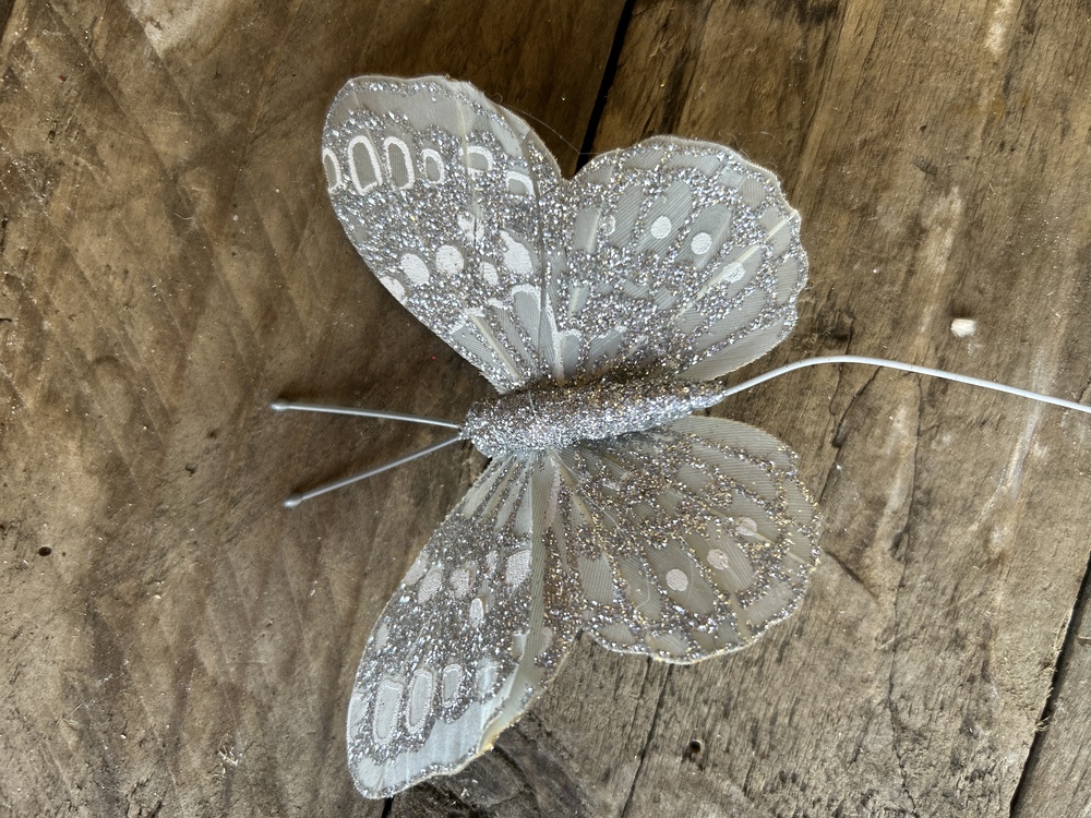 Silver Butterfly 
