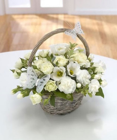 Butterfly Basket